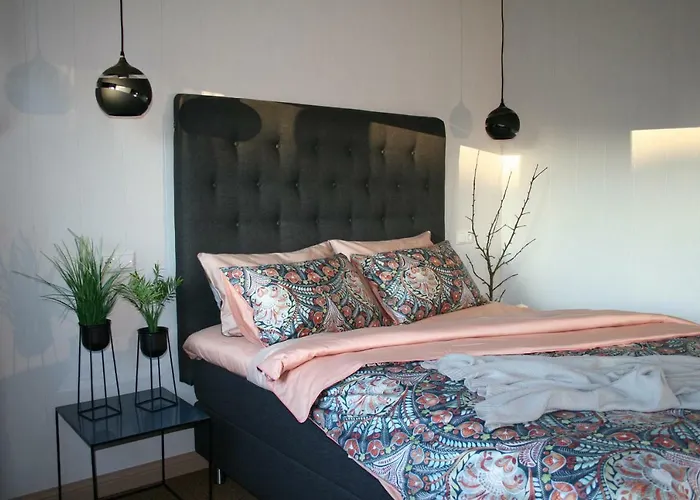 Sadama Street Guest house